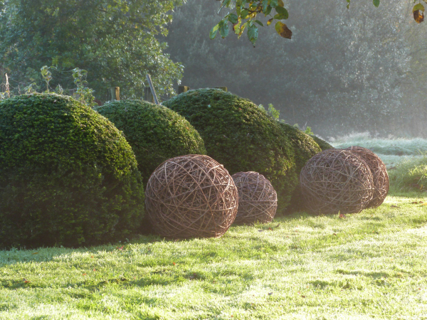 Cliquer pour voir la vidéo